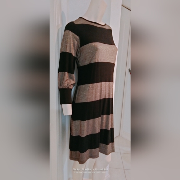 NWT Women's Blue Sage Shimmer gold/Black Stripe Stretchy Thin Mat'l - Picture 1 of 9